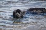 Nancy's Sydney cooling off